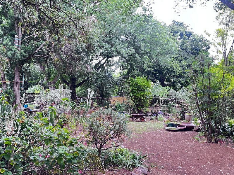 A lush, established garden area featuring mature trees, diverse shrubbery, and natural pathways within a small holding setting.