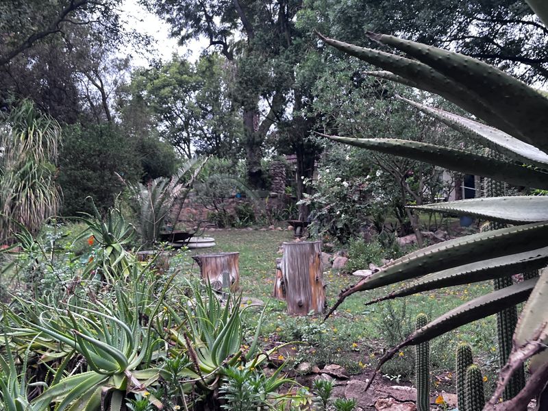 A lush, established garden area featuring mature trees, various succulents, and natural landscaping on the small holding property.