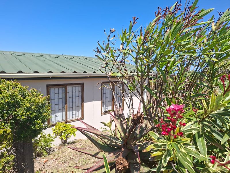 A view of the rear exterior facade featuring a corrugated metal roof, sliding windows with security bars, and established garden landscaping.