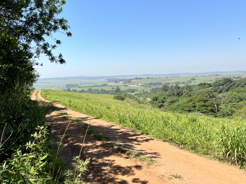 HELMSLEY COUNTRY ESTATE – NATURE | FAMILY | COUNTRY - Photo 7