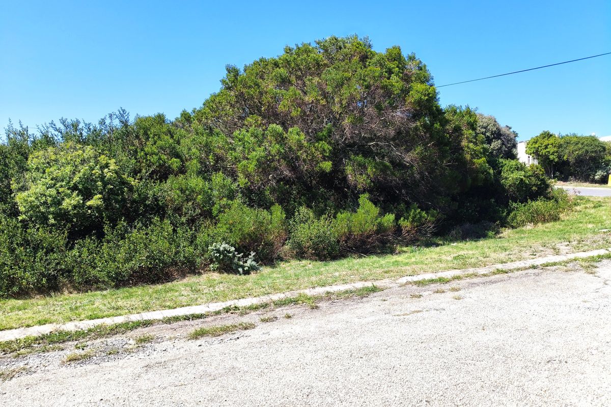 Prime corner stand - Photo 2