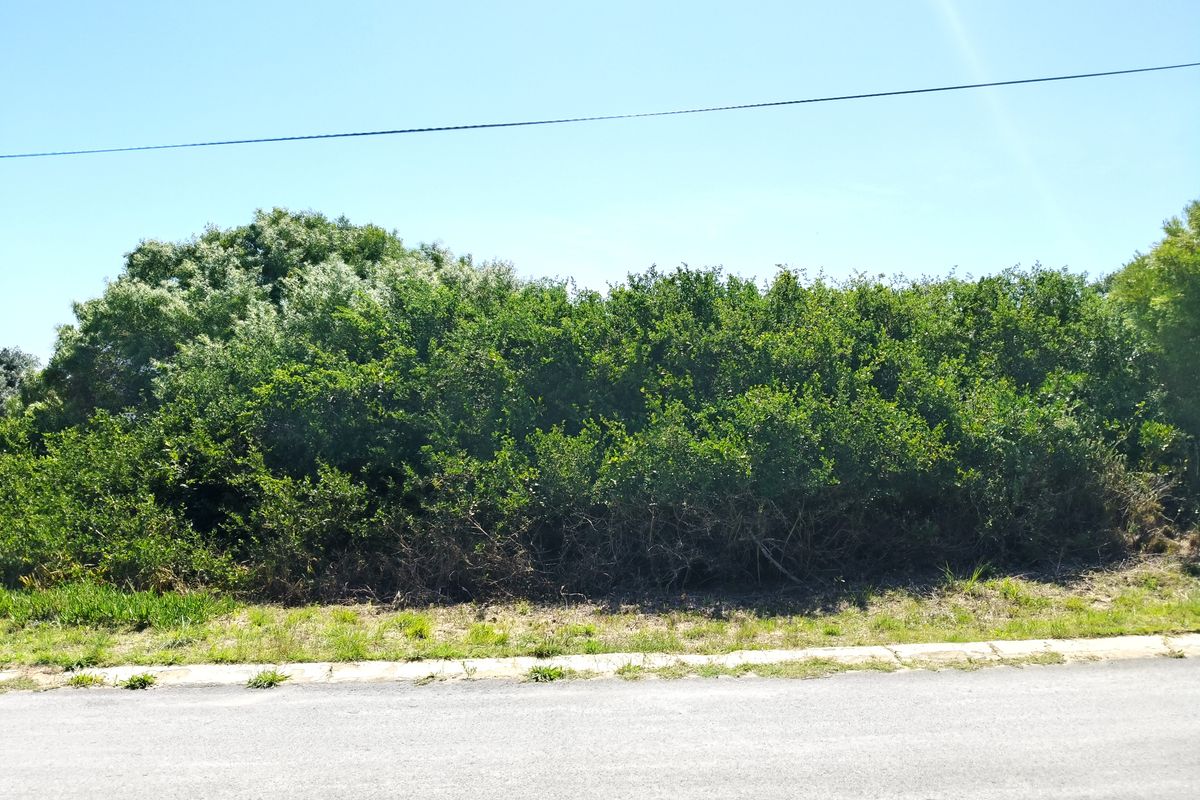 Prime corner stand - Photo 3