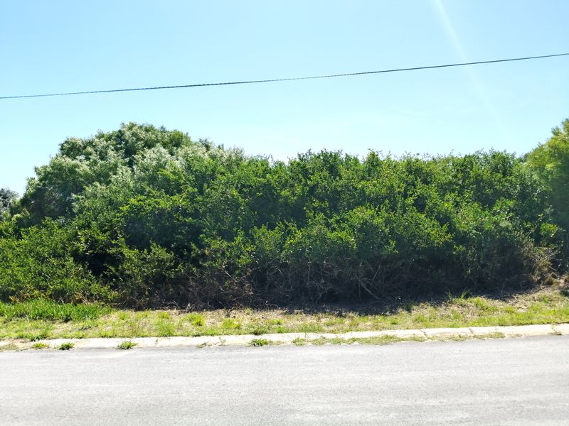 Prime corner stand - Photo 3