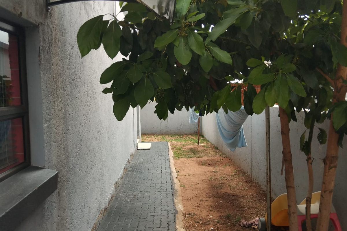 A narrow side yard featuring a paved walkway, perimeter boundary walls, and a mature tree, providing a functional outdoor utility space.