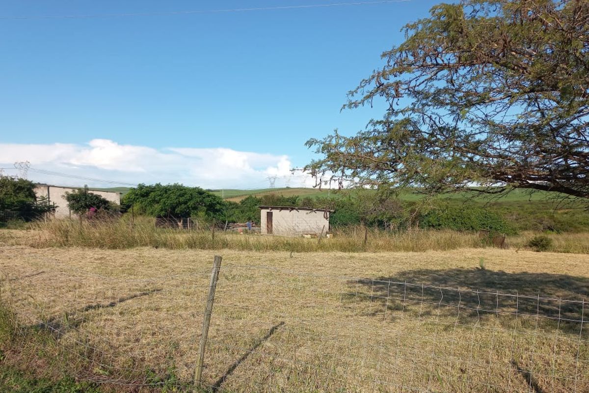 Prime Farmland for sale in Empangeni - Photo 5