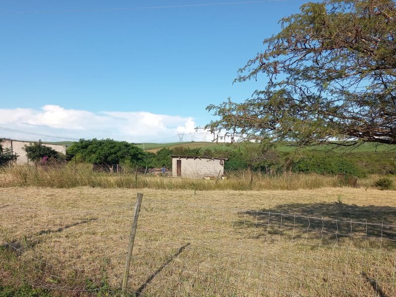 Prime Farmland for sale in Empangeni - Photo 5