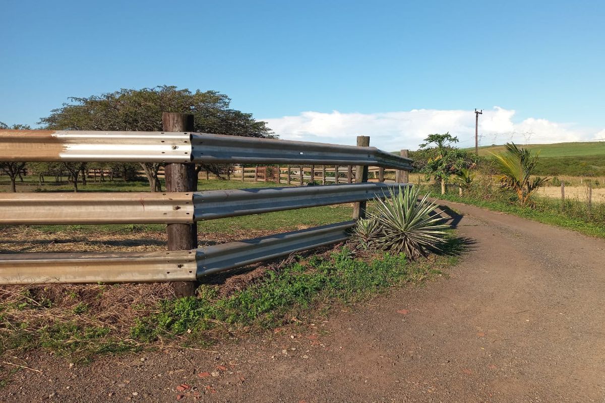 A rural farm access road featuring a metal guardrail fence bordering the property grounds under a clear blue sky.