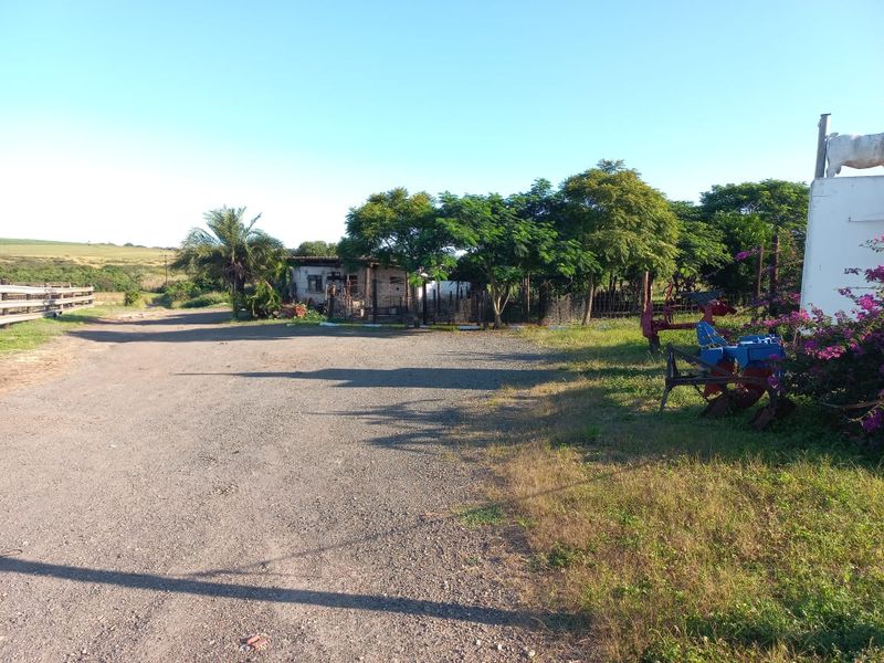 Prime Farmland for sale in Empangeni - Photo 8