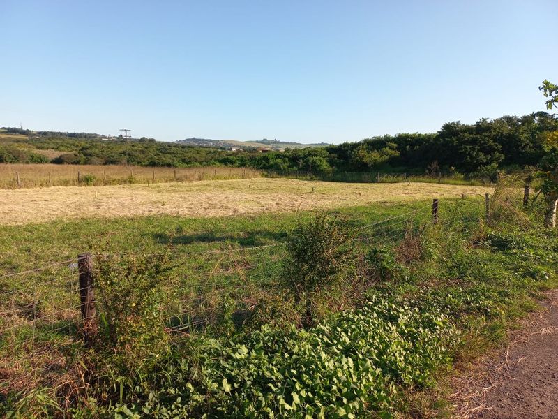 Prime Farmland for sale in Empangeni - Photo 6