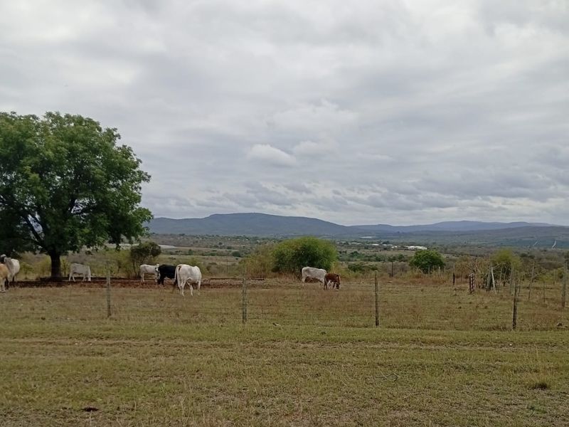 A scenic view of the farm landscape featuring open grazing fields, wire fencing, and distant mountain ranges under a cloudy sky.
