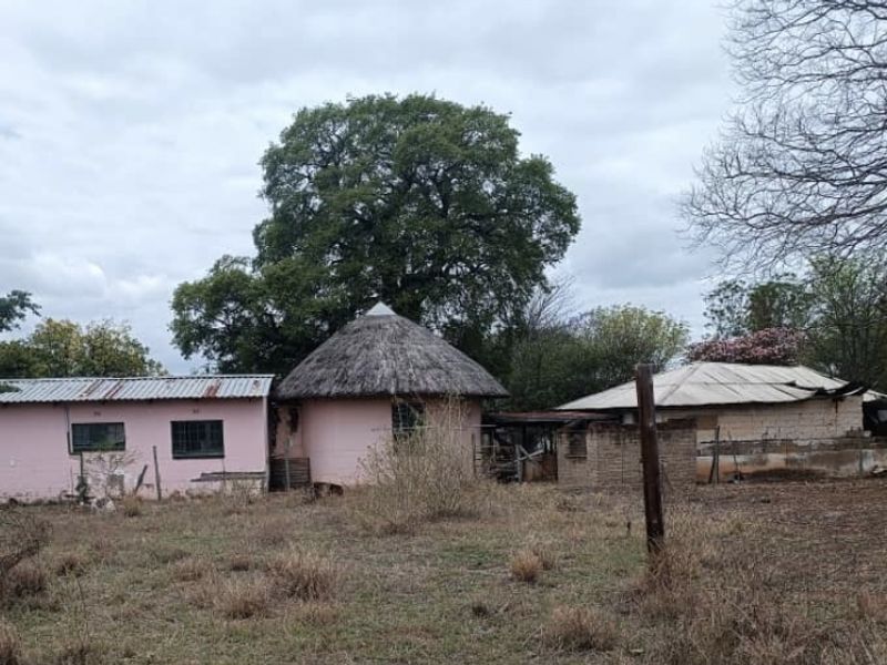 Rear view of a farm property featuring a mix of traditional thatched and corrugated metal roof structures with visible signs of structural deterioration.