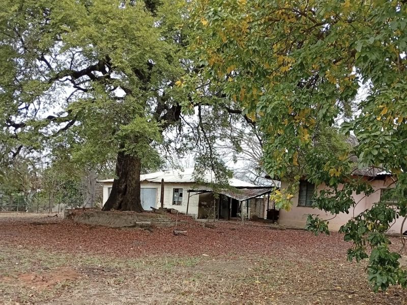 A view of the rear exterior of the farm property featuring mature trees, a masonry tree surround, and older outbuildings with corrugated metal roofing.