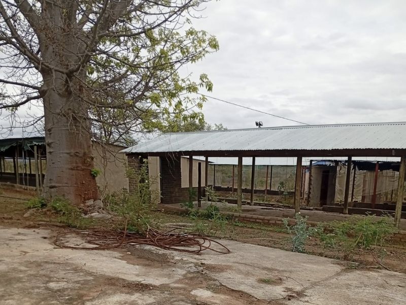 An open-sided farm structure with a corrugated metal roof and concrete flooring, situated in a rural setting with mature trees.