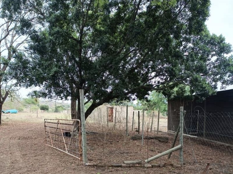 Outdoor farm area featuring mature trees, wire fencing, a metal gate, and a small outbuilding structure on the property grounds.