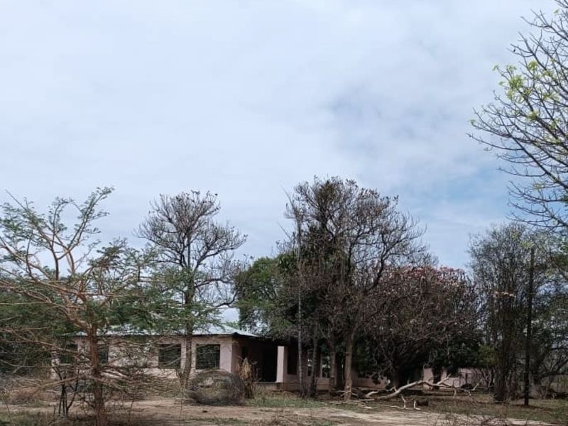 A view of the farm property exterior, featuring a single-story structure surrounded by mature trees and natural landscape.