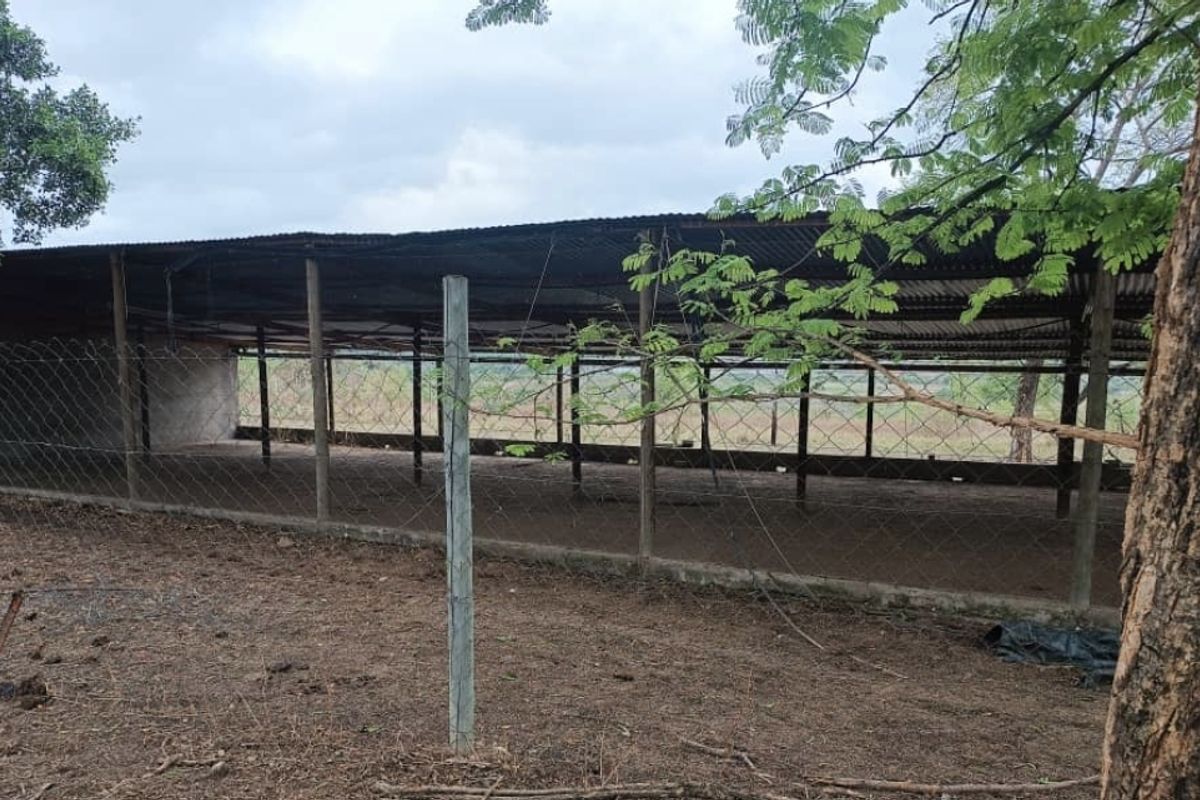 An open-sided agricultural utility structure featuring a corrugated metal roof, concrete support pillars, and wire mesh perimeter fencing on a farm property.