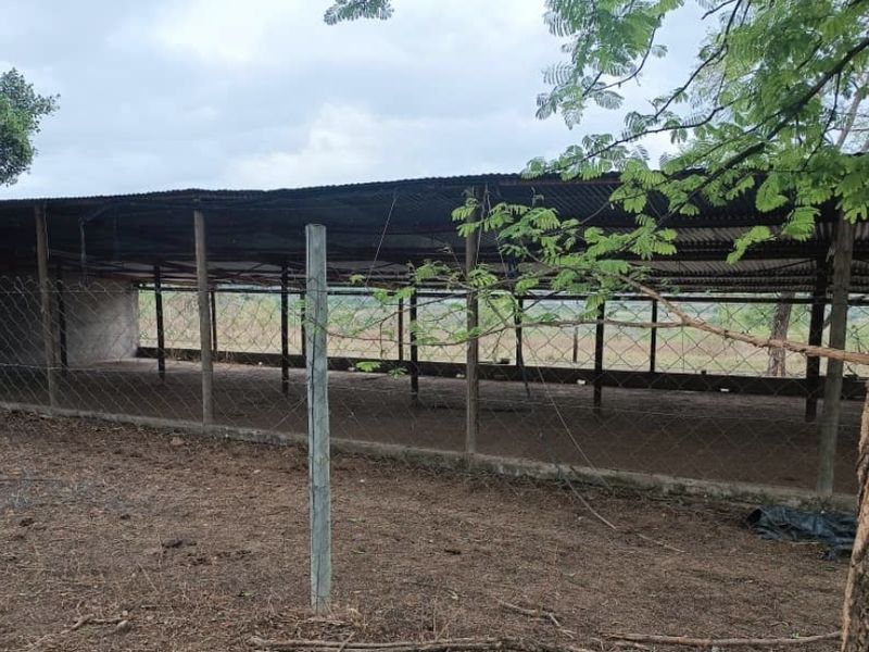 An open-sided agricultural utility structure featuring a corrugated metal roof, concrete support pillars, and wire mesh perimeter fencing on a farm property.