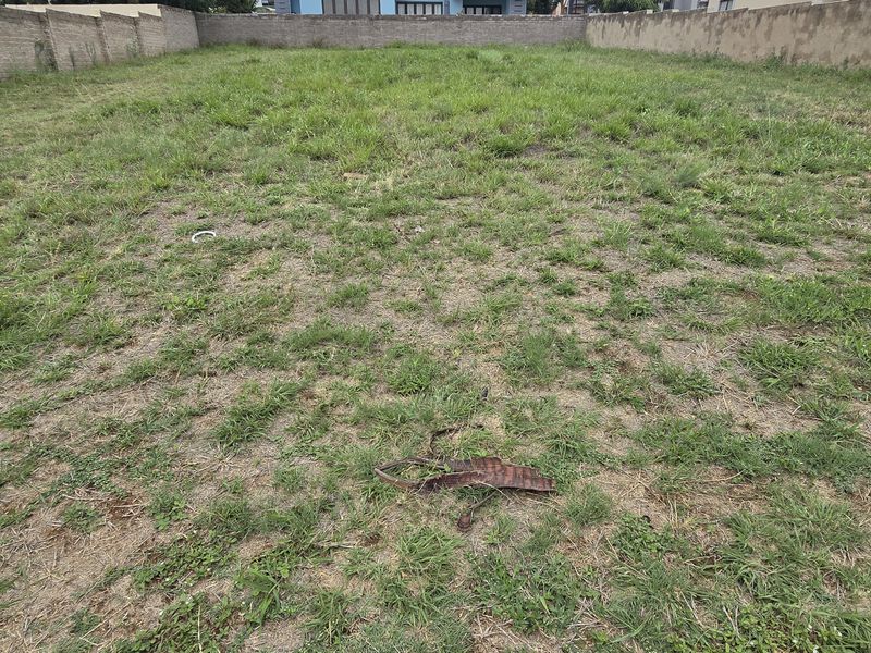 Vacant Land / Plot for Sale in North View Estate - Photo 6