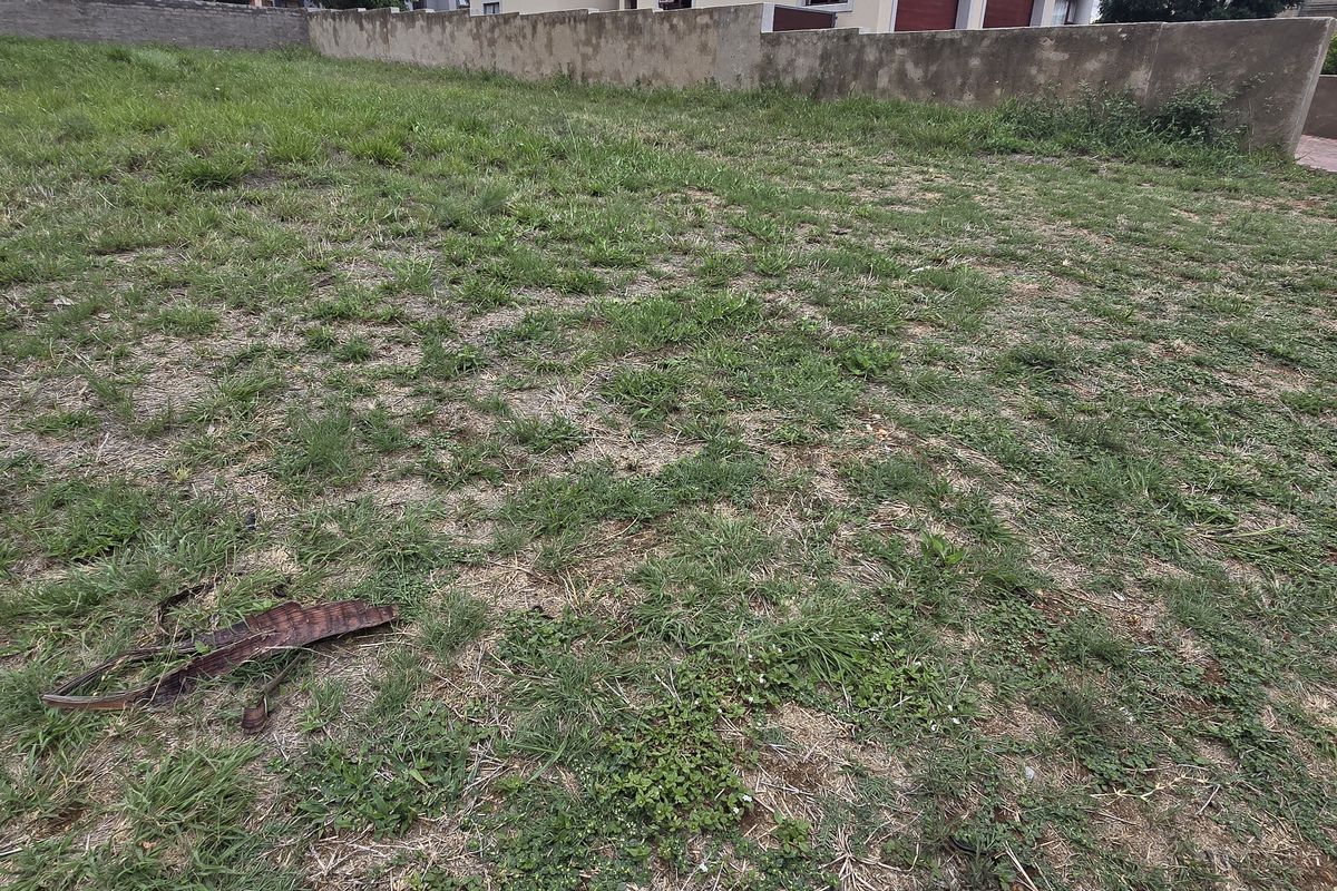 Vacant Land / Plot for Sale in North View Estate - Photo 4