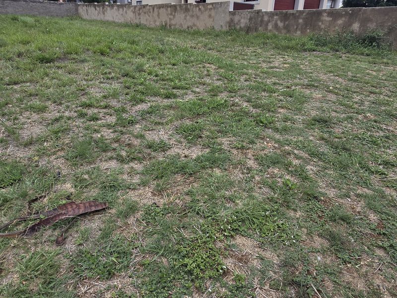 Vacant Land / Plot for Sale in North View Estate - Photo 4