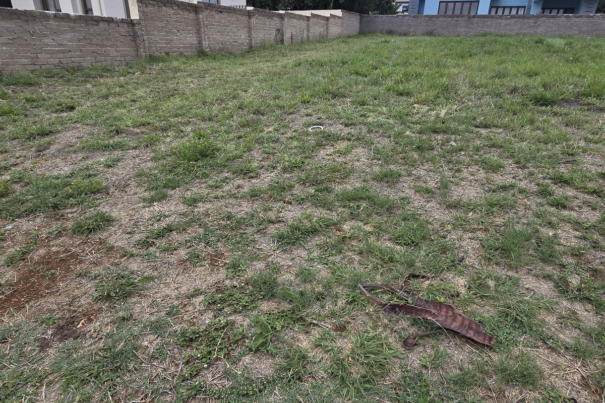 Vacant Land / Plot for Sale in North View Estate - Photo 5