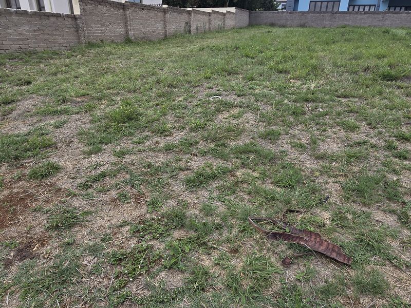 Vacant Land / Plot for Sale in North View Estate - Photo 5