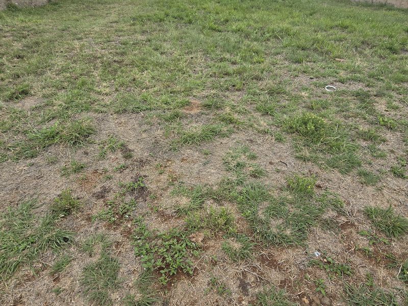 Vacant Land / Plot for Sale in North View Estate - Photo 8