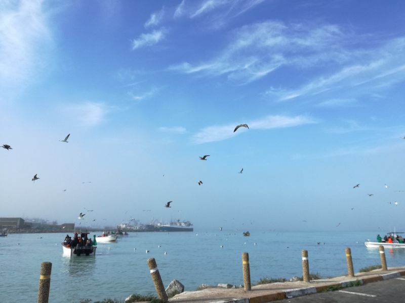 St Helena bay - 3 Bedroom 2 Bathroom Plot and Plan - Photo 10