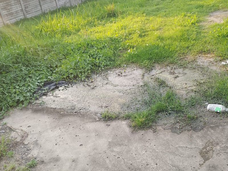 Affordable Home with Huge Yard – 608m2! - Photo 9