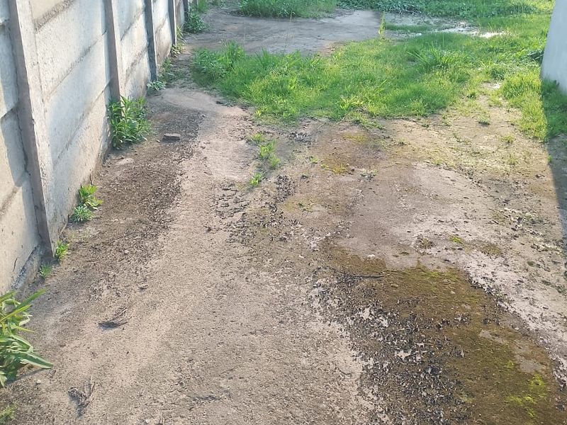 Affordable Home with Huge Yard – 608m2! - Photo 8