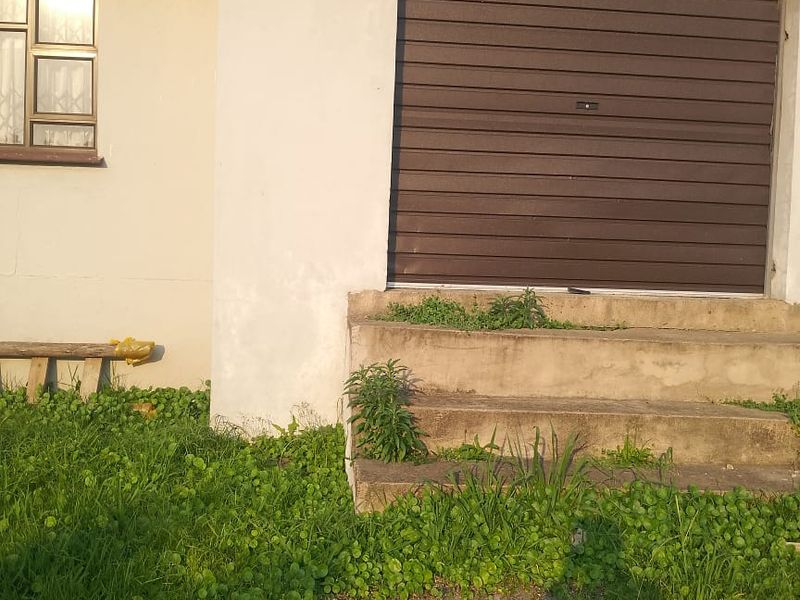 Affordable Home with Huge Yard – 608m2! - Photo 7