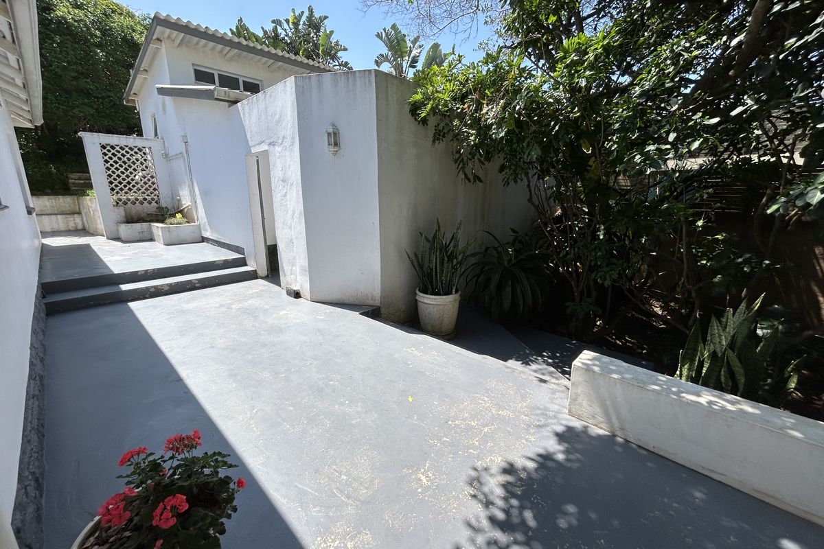 A private rear courtyard featuring a painted concrete patio, tiered levels, and established garden greenery.