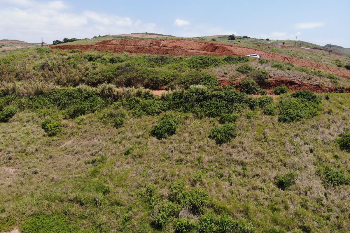 Front-Row Coastal Stand with Uninterrupted Ocean Views in Seaton Estate - Photo 5