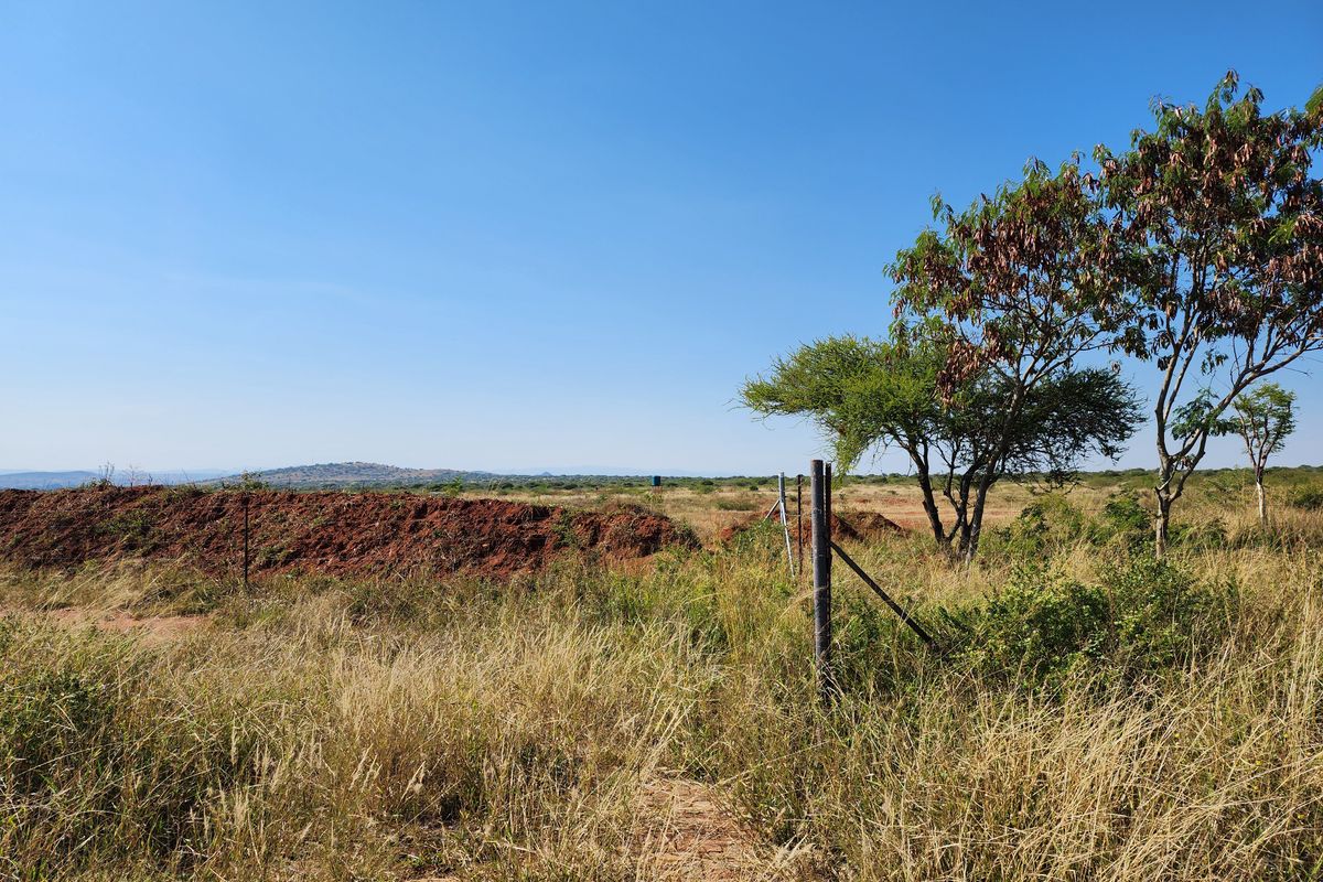 62 NEW VACANT AGRICULTURAL HOLDINGS FOR SALE - Photo 5