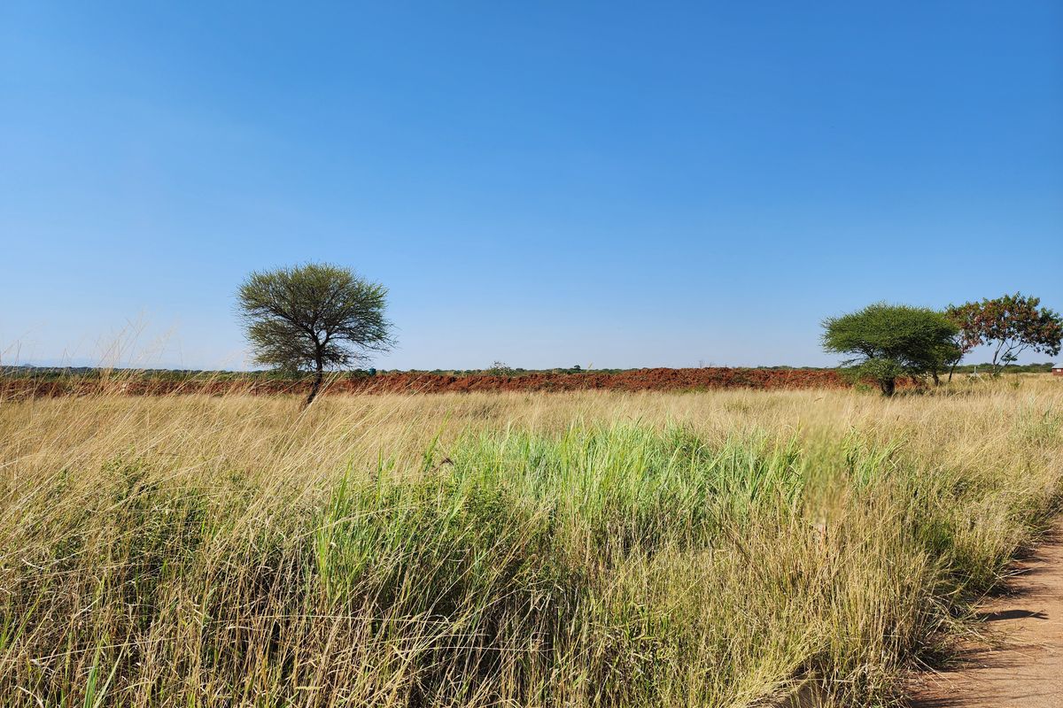 62 NEW VACANT AGRICULTURAL HOLDINGS FOR SALE - Photo 4