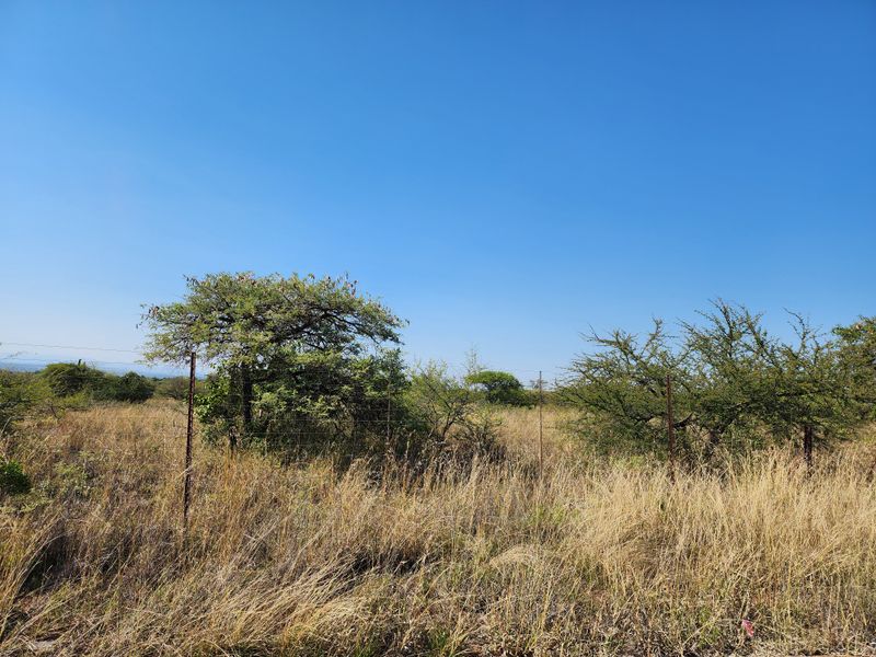 62 NEW VACANT AGRICULTURAL HOLDINGS FOR SALE - Photo 7