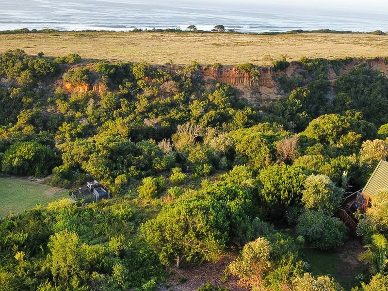 Prime Level Stand for Sale in Outeniqua Strand with Duet possibilities - Photo 4