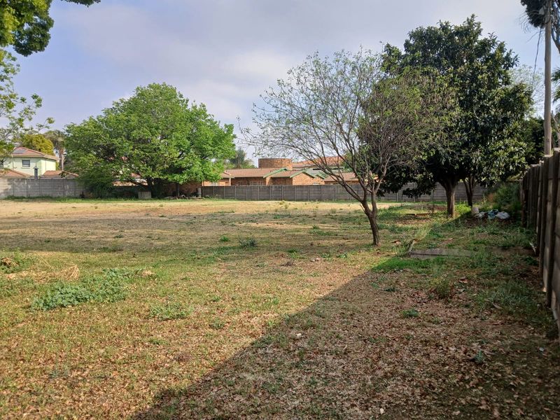 A spacious, level residential vacant land plot featuring established trees and perimeter boundary walling, offering a blank canvas for future development.