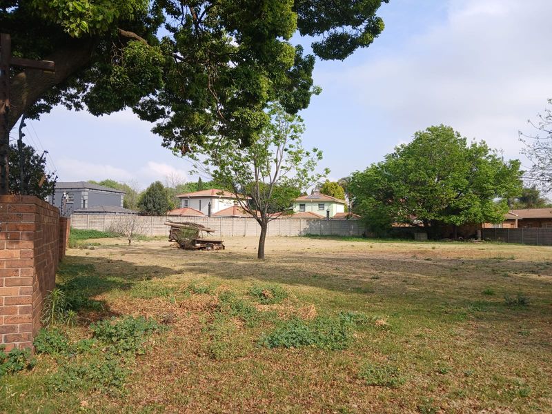 A vacant residential plot featuring established trees, perimeter brick walling, and clear boundaries, offering a blank canvas for future development.