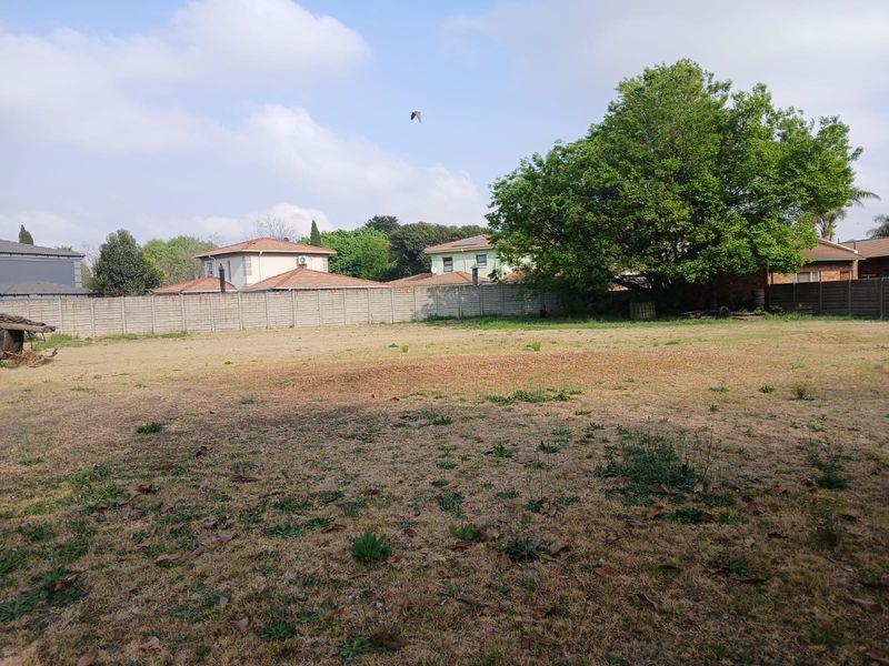 A spacious, level vacant residential plot enclosed by perimeter walling, featuring established trees and open grass area.