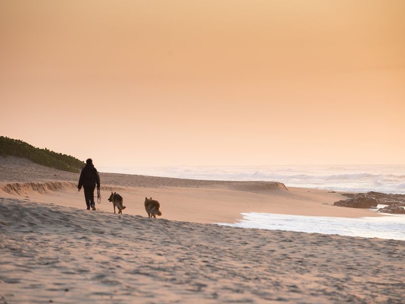 Affordable Level Site with Greenbelt Views in Seaton Estate - Photo 10