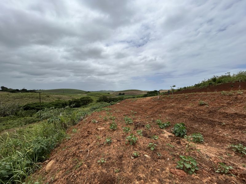 Affordable Level Site with Greenbelt Views in Seaton Estate - Photo 7