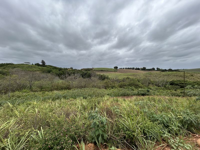 Affordable Level Site with Greenbelt Views in Seaton Estate - Photo 6