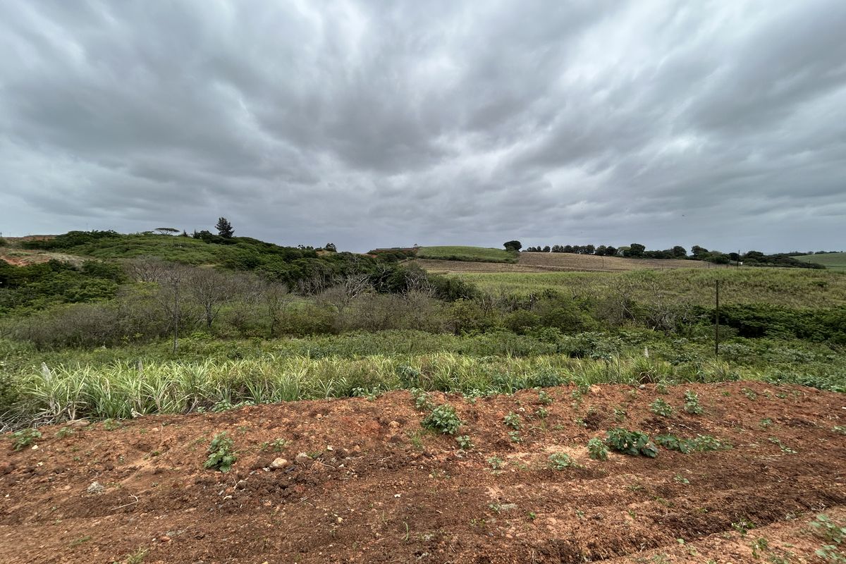 Affordable Level Site with Greenbelt Views in Seaton Estate - Photo 2