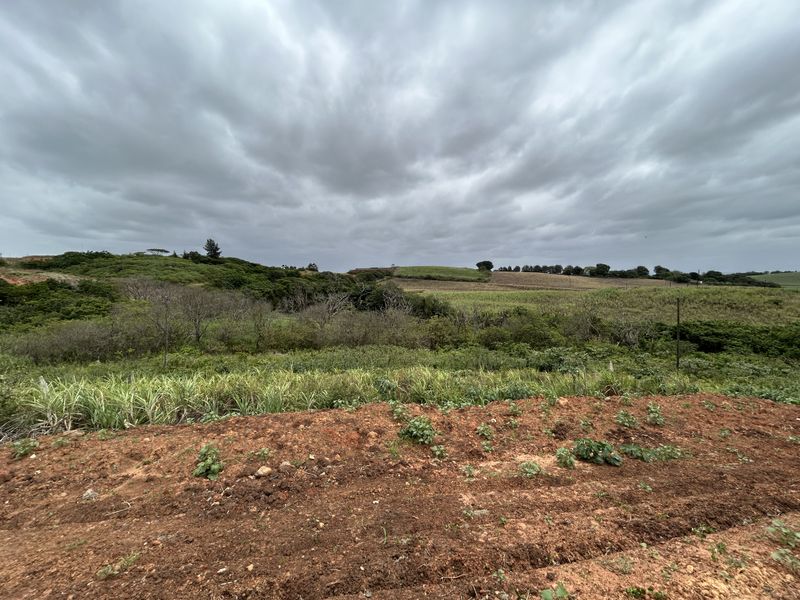 Affordable Level Site with Greenbelt Views in Seaton Estate - Photo 2