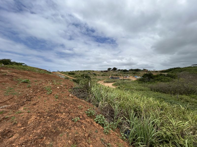 Affordable Level Site with Greenbelt Views in Seaton Estate - Photo 5