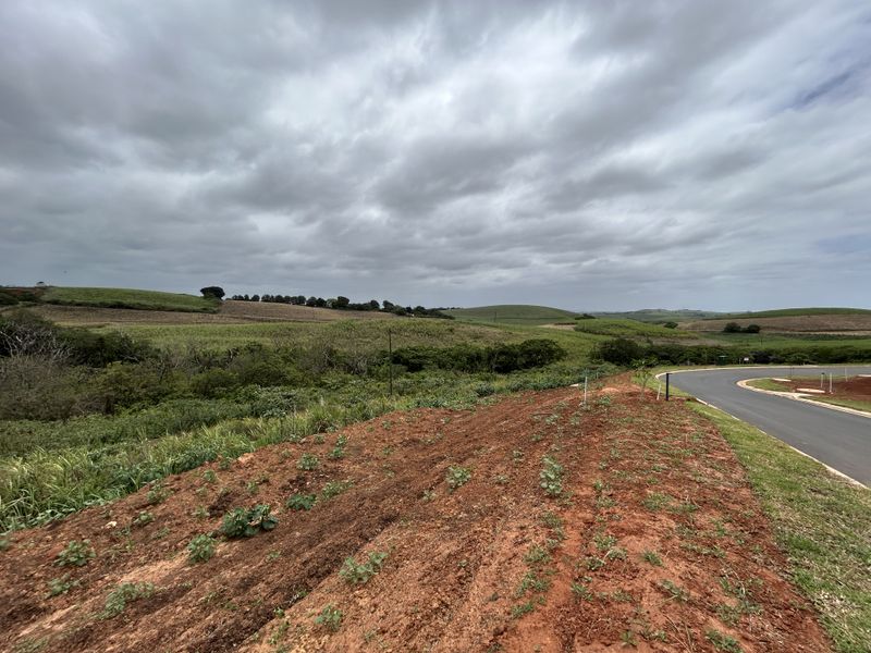 Affordable Level Site with Greenbelt Views in Seaton Estate - Photo 4