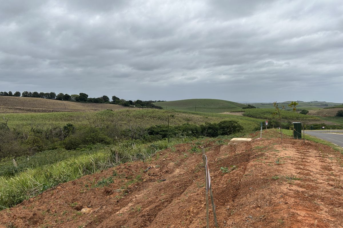 Affordable Plot with Gentle Slope and Greenbelt Outlook in Seaton Estate - Photo 4