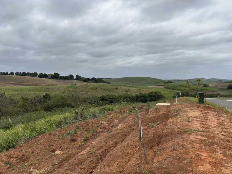 Affordable Plot with Gentle Slope and Greenbelt Outlook in Seaton Estate - Photo 4