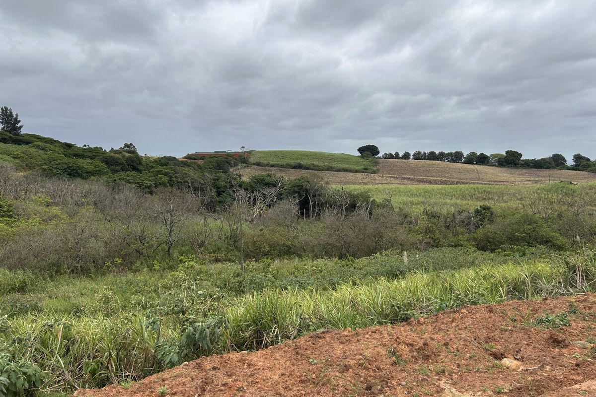 Affordable Plot with Gentle Slope and Greenbelt Outlook in Seaton Estate - Photo 3